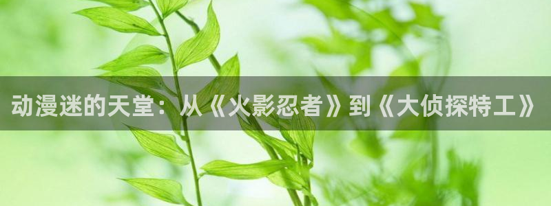 行业资讯